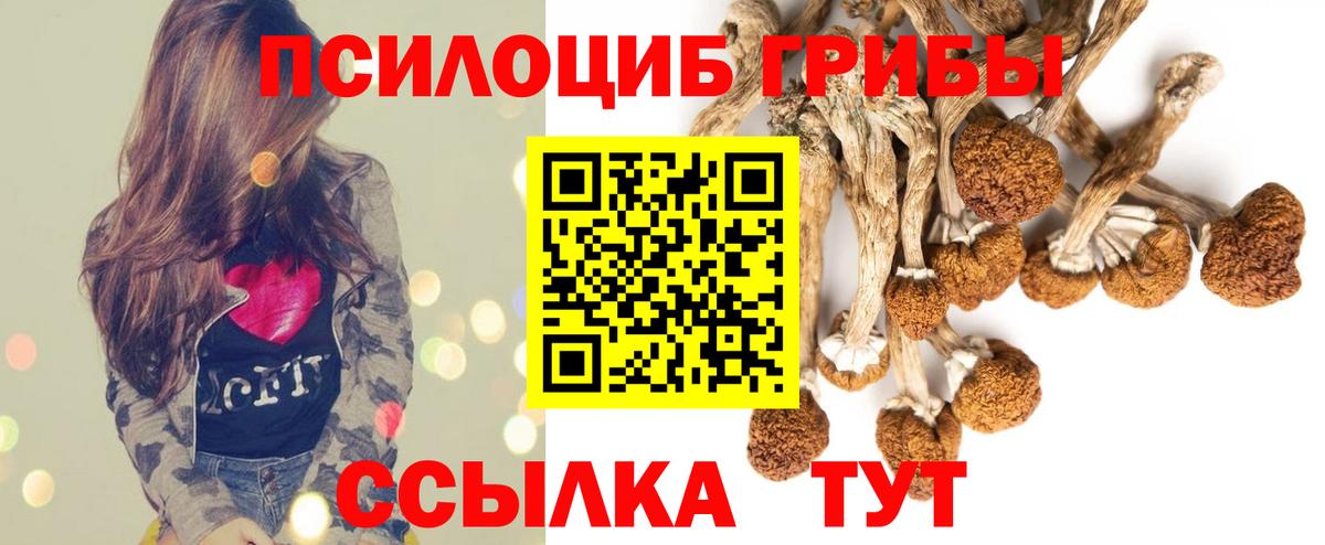 Псилоцибиновые грибы GOLDEN TEACHER  Вход с VPN  Нерюнгри 