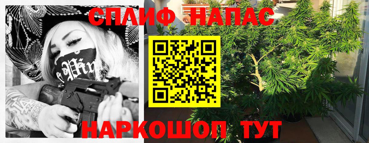Нерюнгри  Каннабис THC 21%  Марихуана план  Вход с VPN  Конопля конопля  Каннабис тримм 